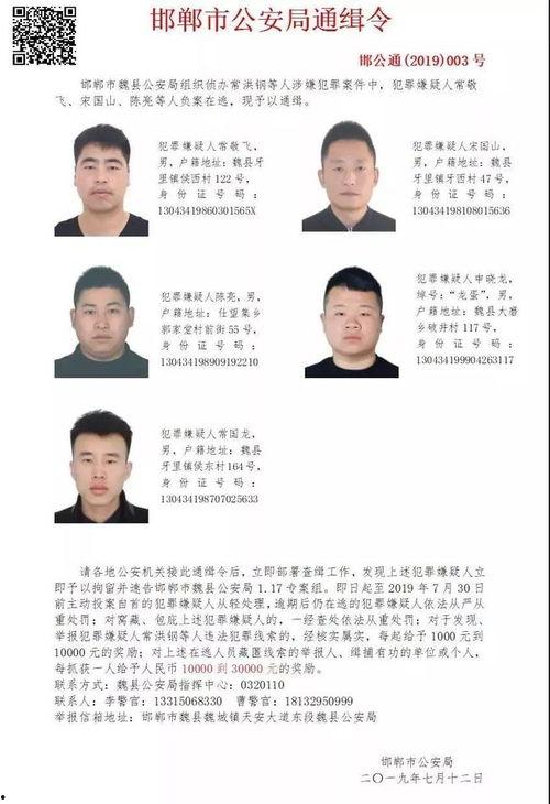 魏县最新爆料消息今天,最新爆料揭示惊人真相，事件进展追踪